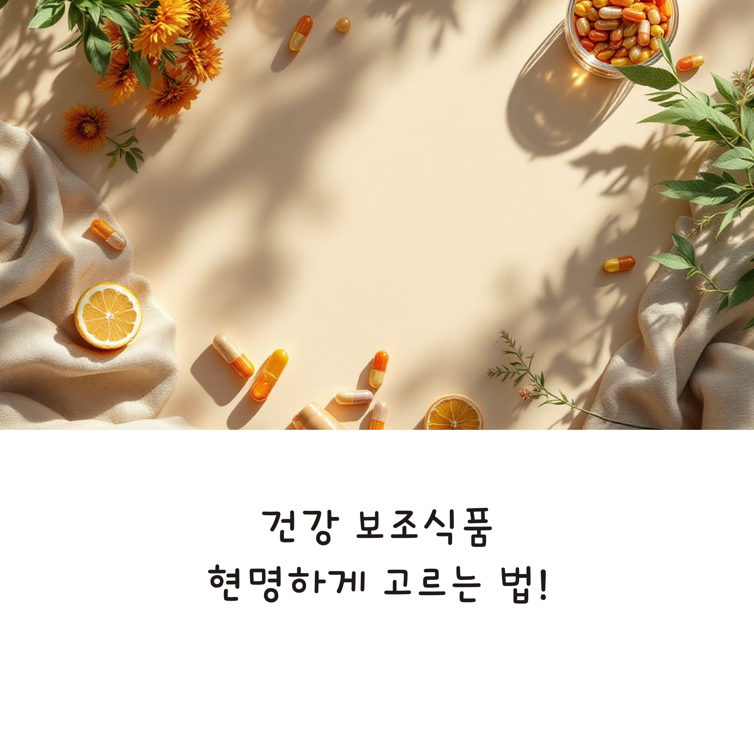 건강 보조식품 선택 가이드