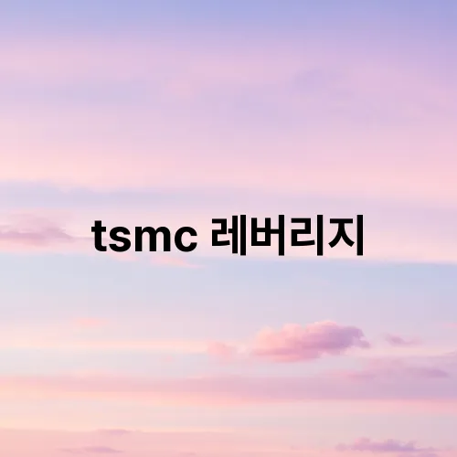 tsmc 레버리지