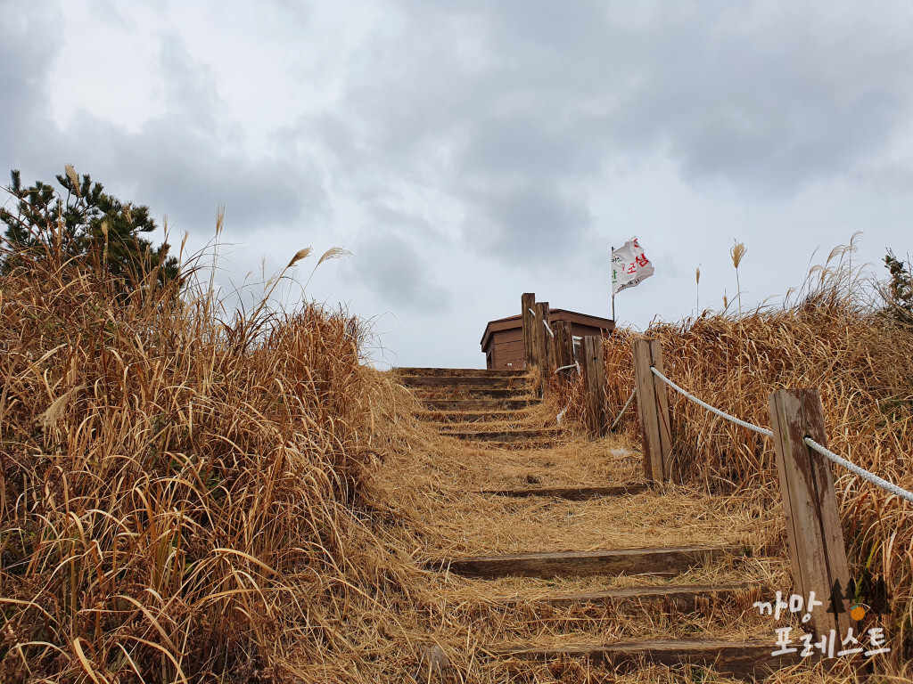 대왕산 정상 직전