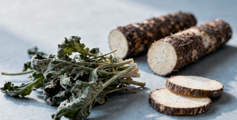 췌장에 좋은 음식