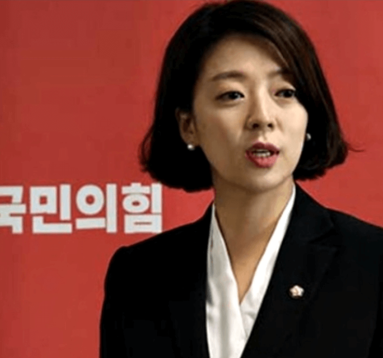 배현진 피습 범인 중학생