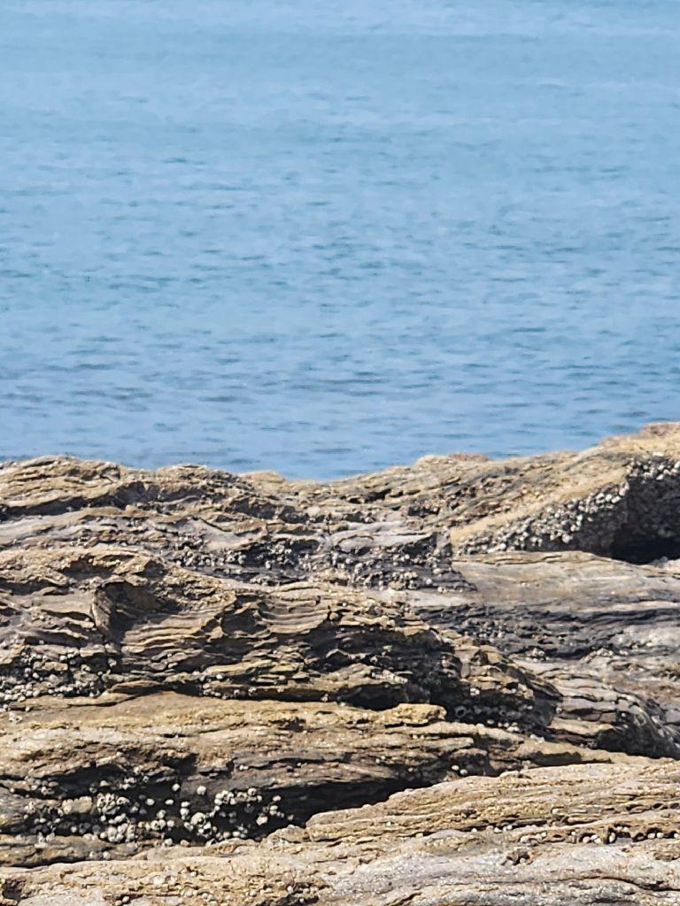 부안 가볼만한곳 베스트10