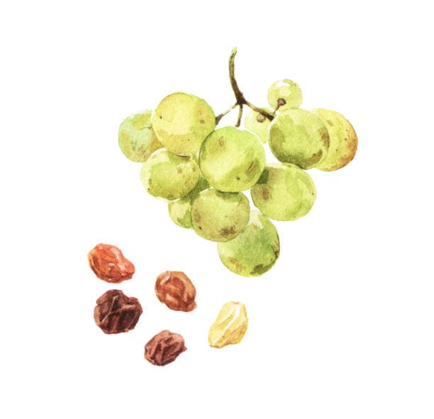 갱년기 건강을 위한 자연 영양과 호르몬 균형 맞추기