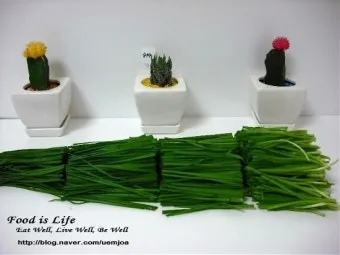 텃밭 부추 쪽파 재배 다년생 관리 수확주기 웃거름 월동_25