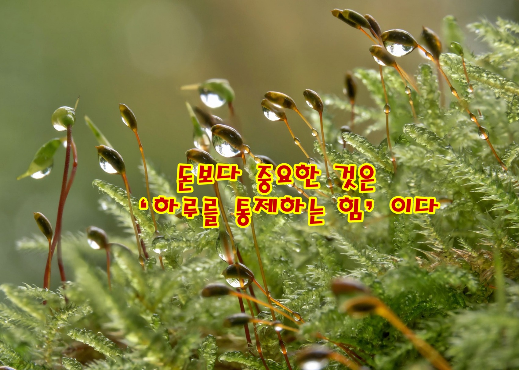 돈보다 중요한 것은 ‘하루를 통제하는 힘’이다