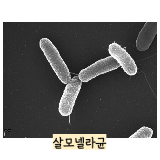 장염-증상-빨리-낫는-법