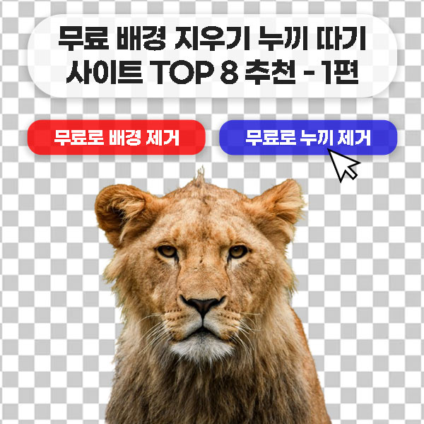 무료 배경 지우기 누끼 따기 사이트