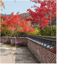 화담숲 전경사진