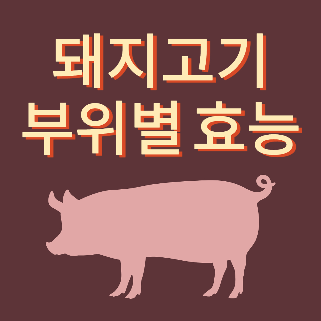 돼지고기 부위 효능 종류 명칭