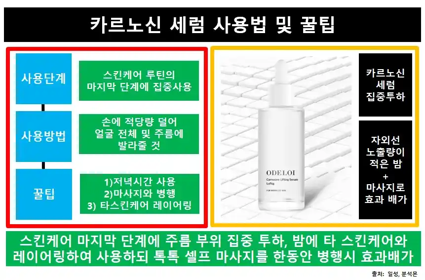 카르노신세럼사용법꿀팁