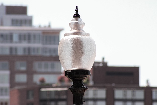 실내 식물을 위한 조명 알아보기