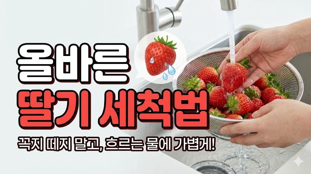 딸기세척법