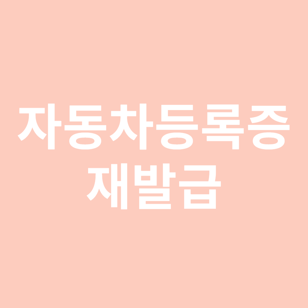 자동차등록증 재발급