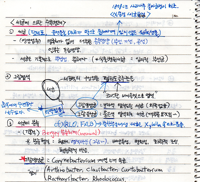 세균이란?, 식물병원세균, 세균의 분류/동정, 그람염색