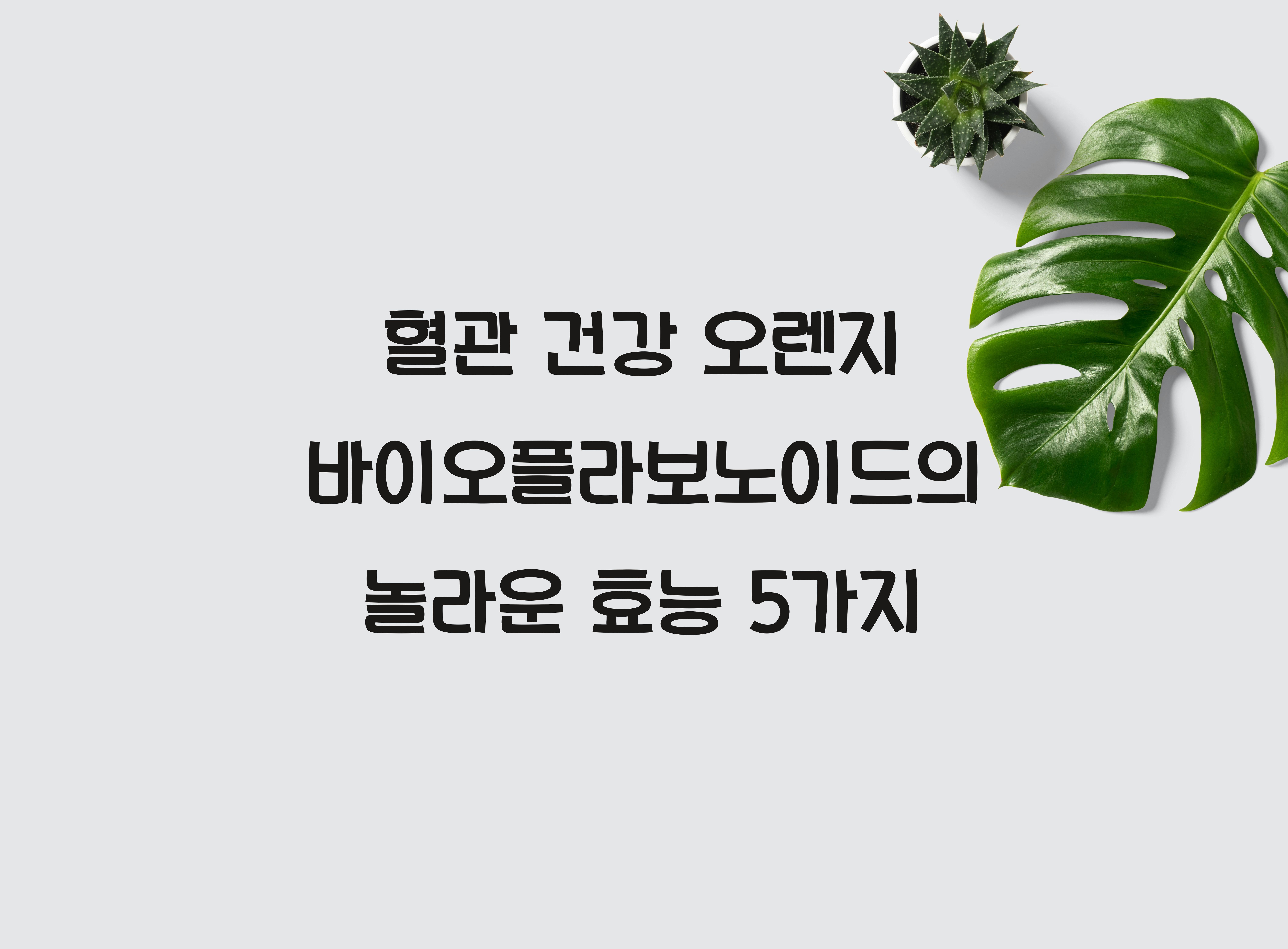 혈관 건강 오렌지 바이오플라보노이드