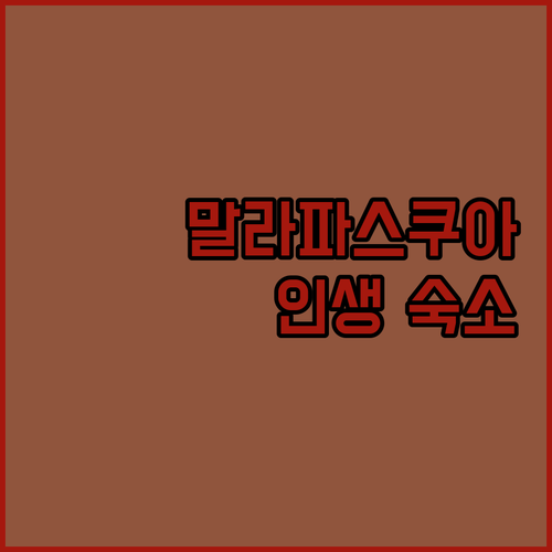 세부 북부 말라파스쿠아 숙소 추천 베..