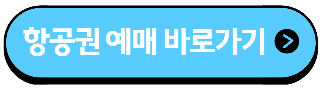 항공권예매
