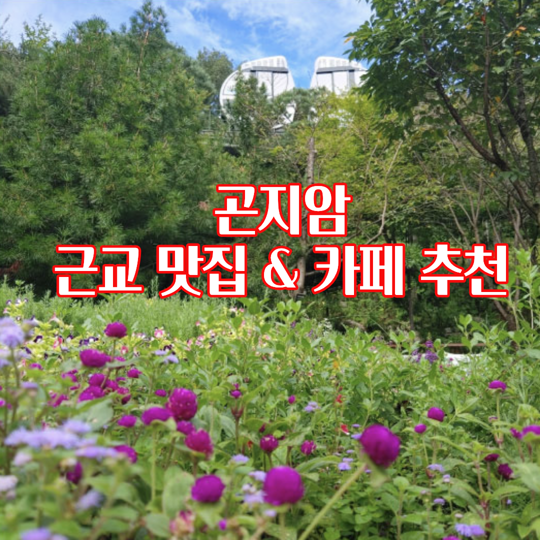 곤지암 근교 맛집 & 카페 추천