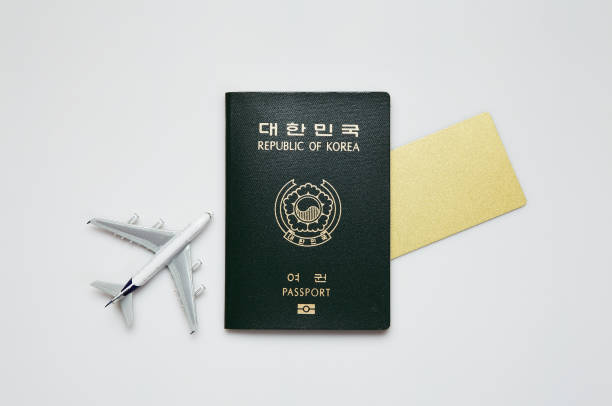 온라인 여권 재발급 신청방법