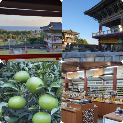 바다풍경과불교용품점