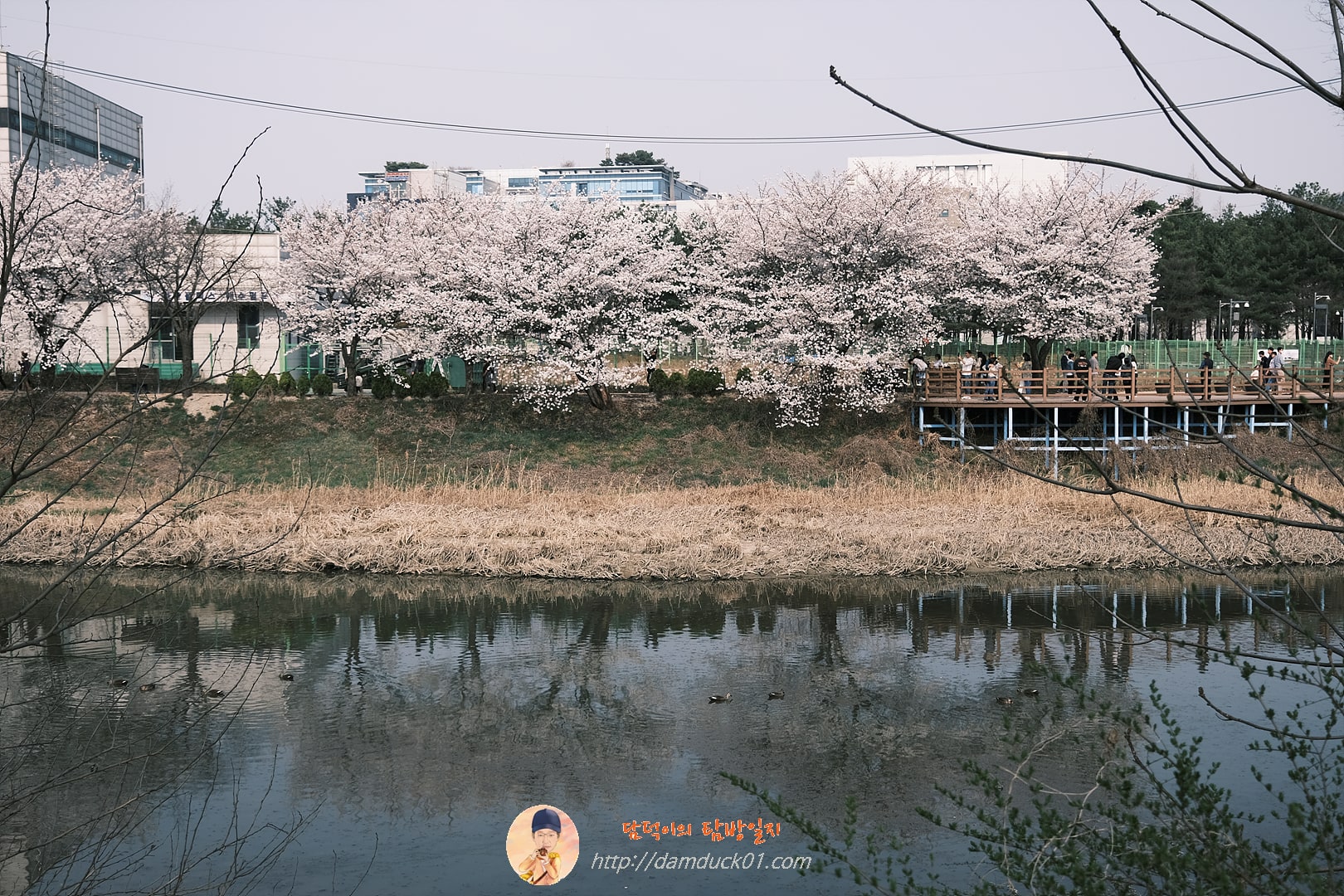 황구지천