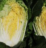 2023년 절임배추