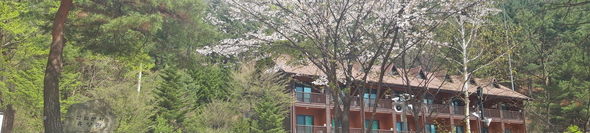 산음 자연휴양림