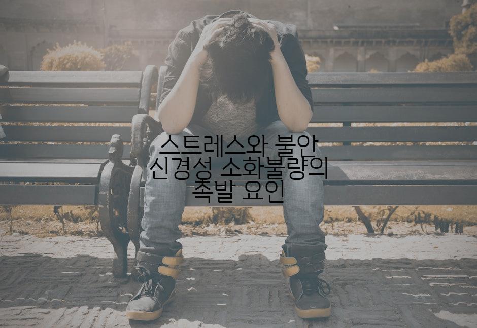 스트레스와 불안 신경성 소화불량의 촉발 요인
