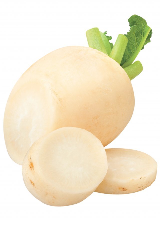 위에 좋은 음식 총정리