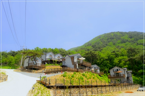캠핑장-전경