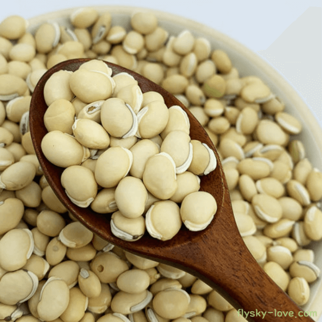 까치콩, 백편두