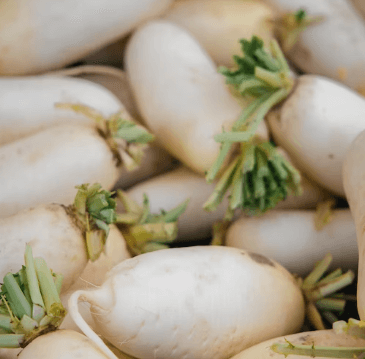 편도결석 빼는 법 - 편도에 좋은 음식 무