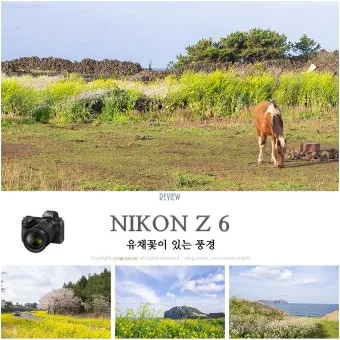 DSLR 카메라 꽃 촬영 접사 거리 합초 요령_5