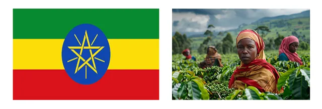 에티오피아국기및커피