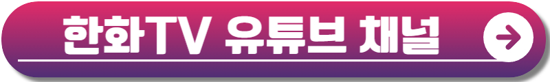 2024 여의도 불꽃축제