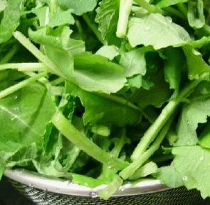 유채나물 효능 부작용 영양성분 고르는법 칼로리