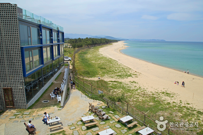 해변에 사람들이 있다