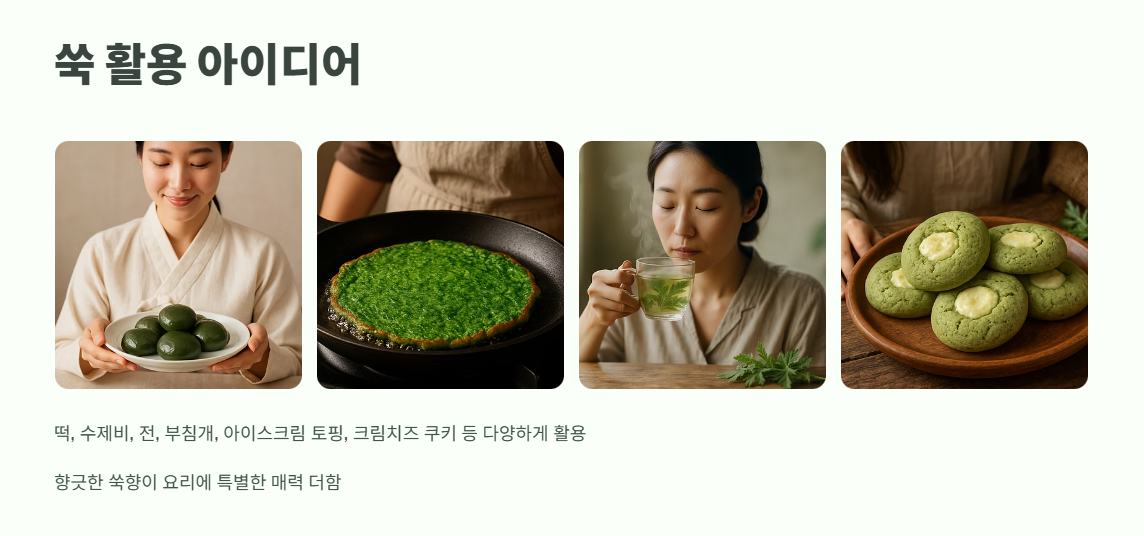 쑥 보관방법 완벽 정리 10