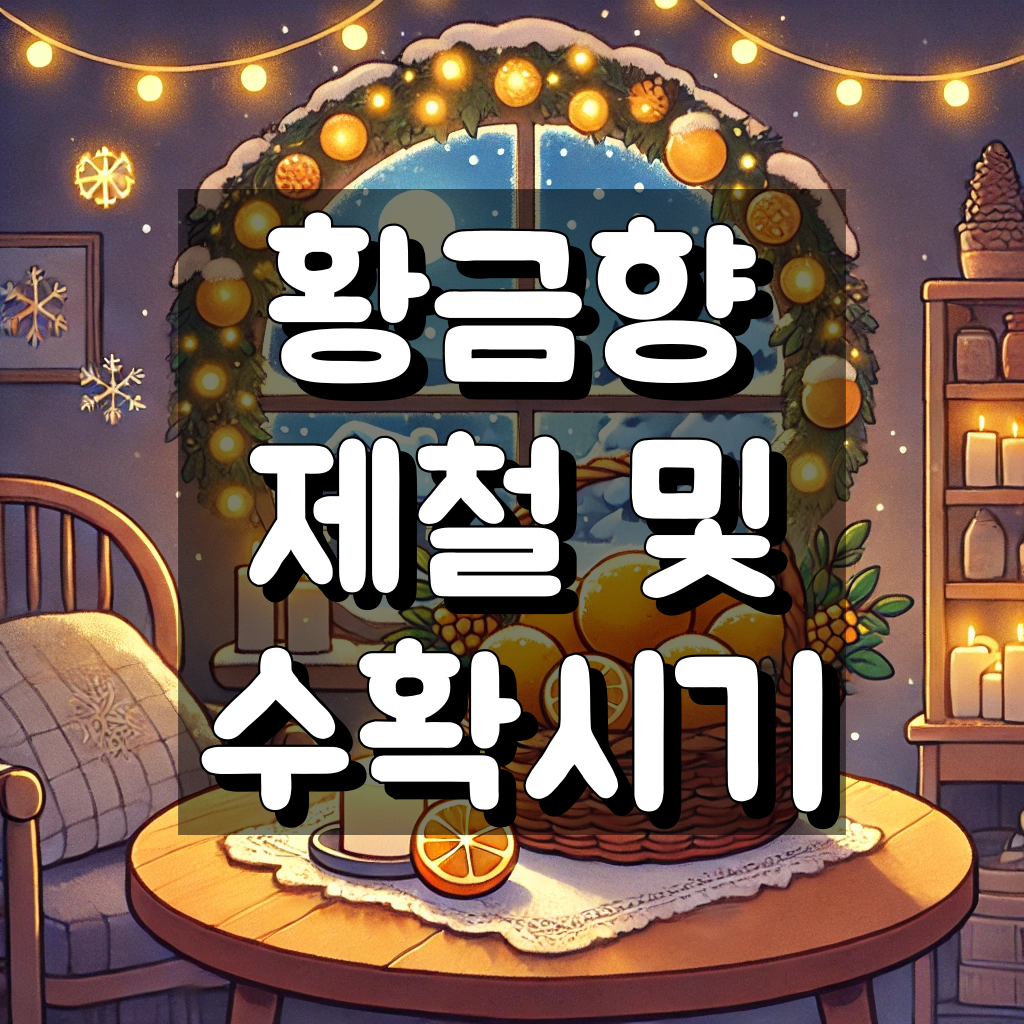 황금향 제철, 수확시기 대표 이미지