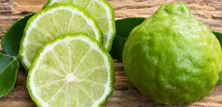 베르가못(bergamot)
