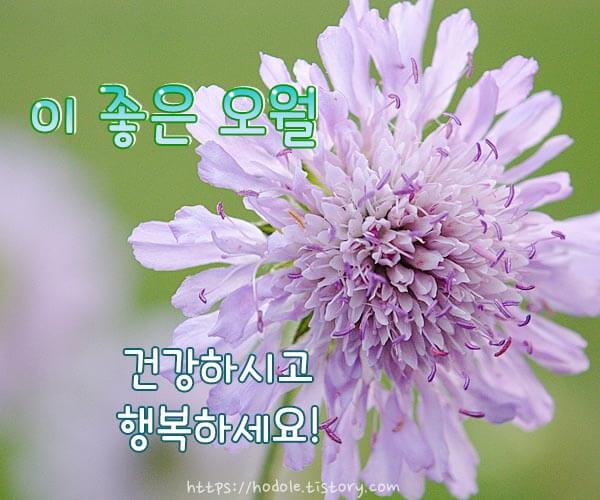 오월-사진-인사-이미지