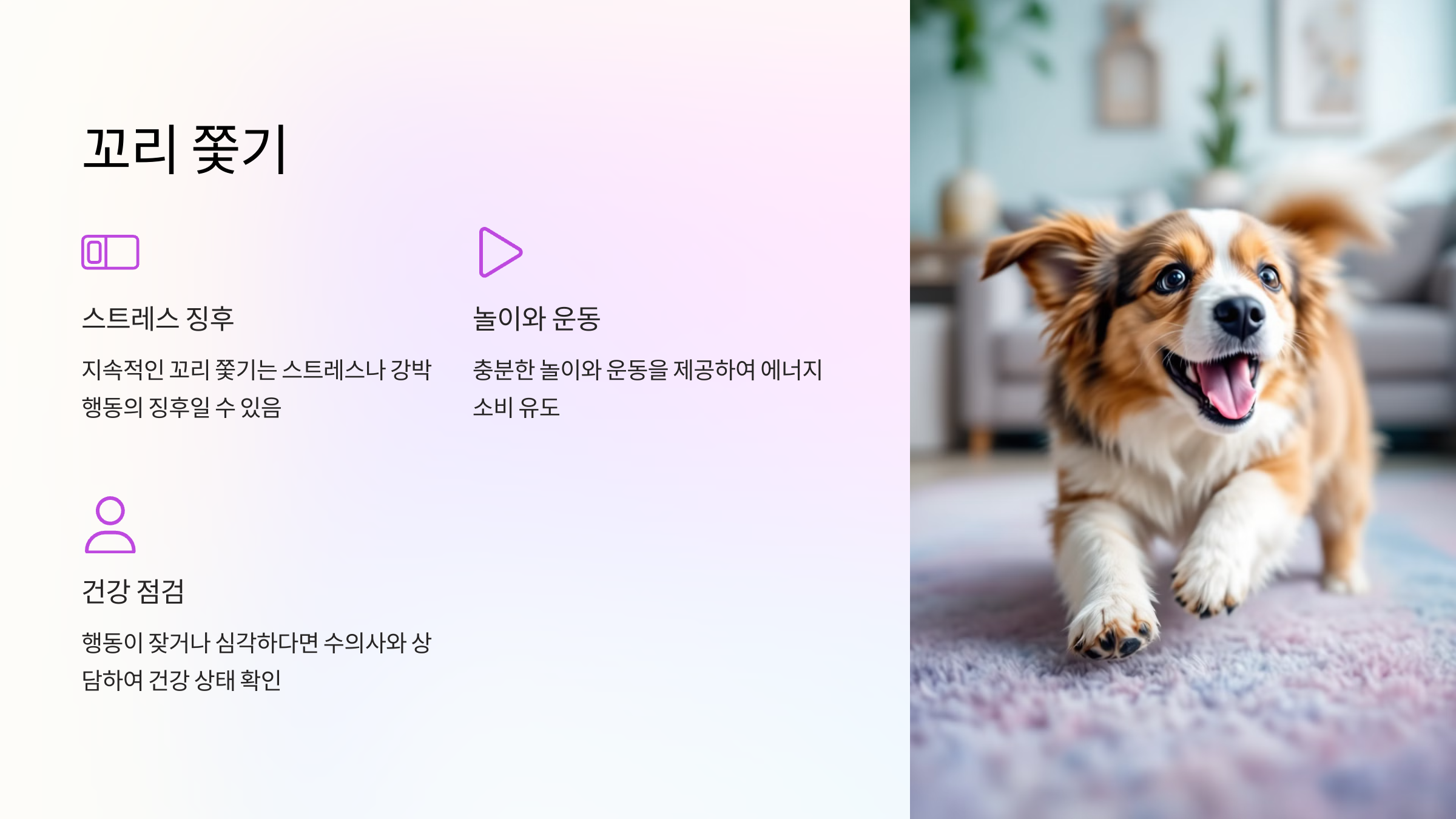 꼬리 쫓기