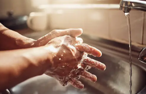 노로바이러스 전염