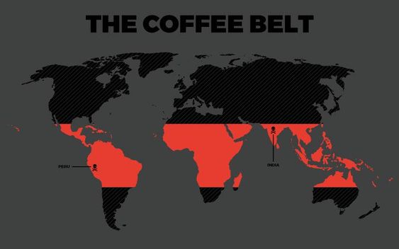 coffee belt