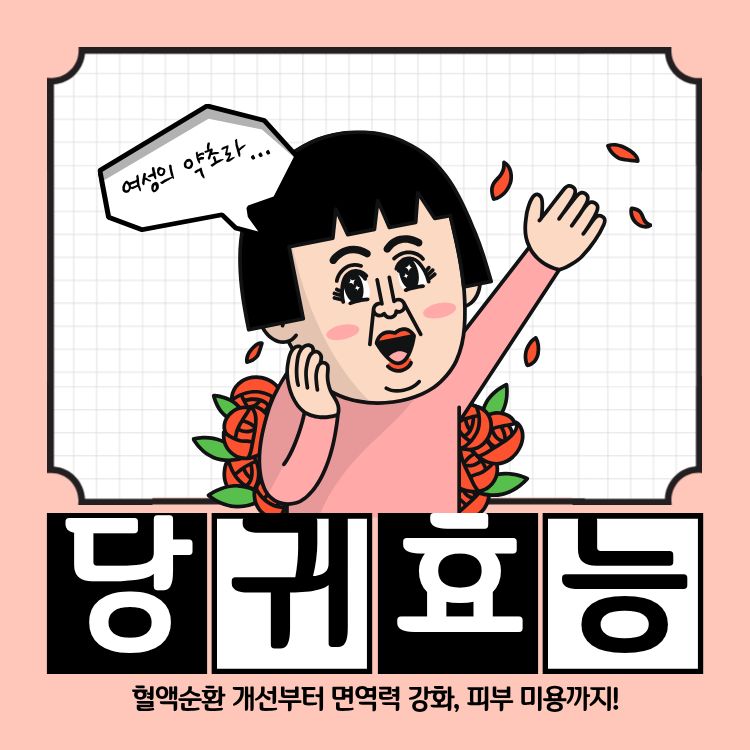 당귀 효능