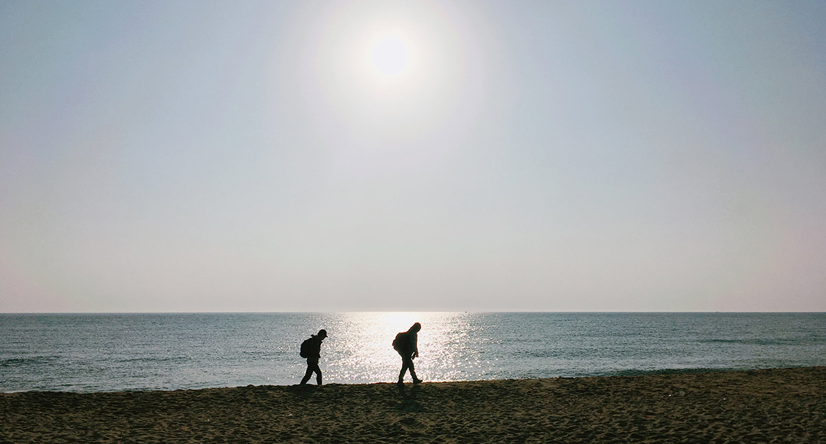 비정부기구(NGO)와 시민 단체의 역할