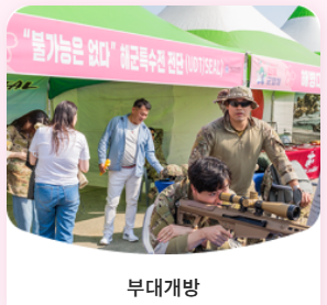 진해군항제