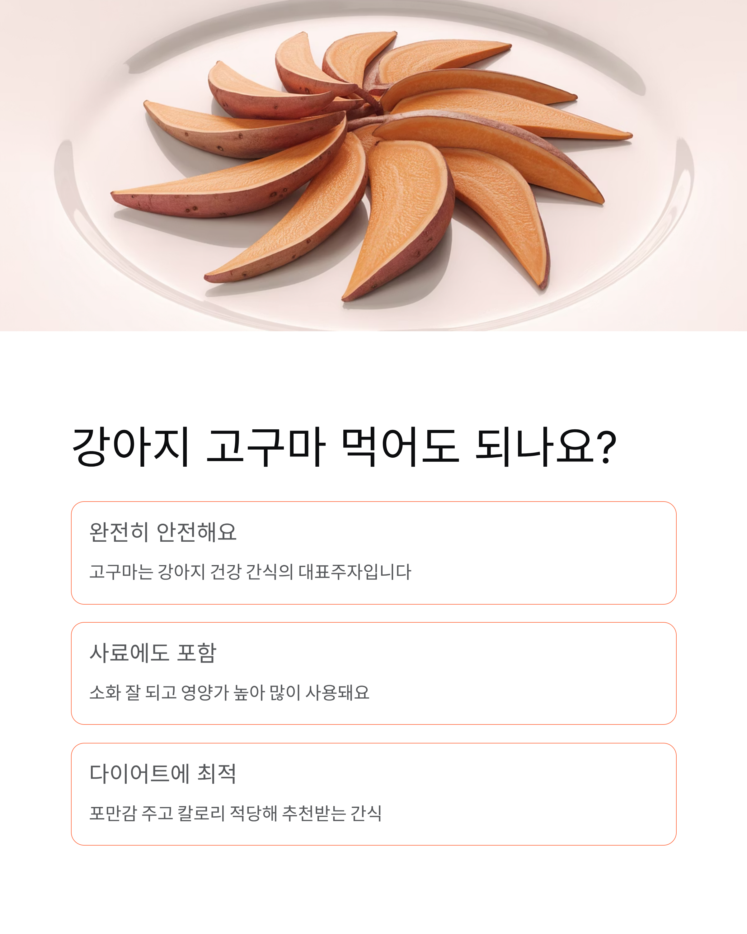 강아지 고구마 매일 먹여도 될까? 효능과 적정량 완벽 정리