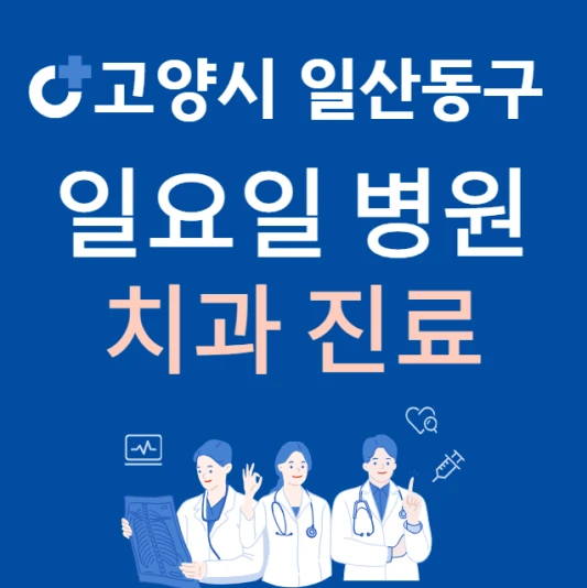 고양시-일산동구-일요일-치과-진료하는곳-주말에-문여는-일산-24시간-치과-병원-찾기