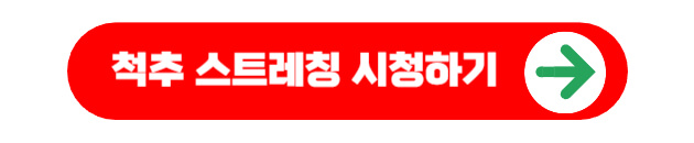 척추 스트레칭 운동법 시청하기